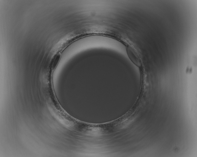 X0000111020203200907101348