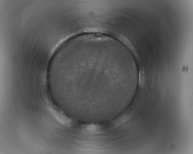 X0000111020204200907101348