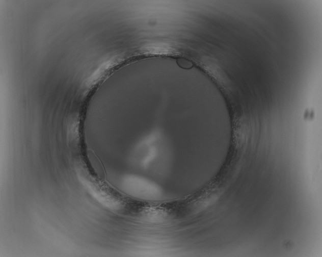 X0000111020207200907101348