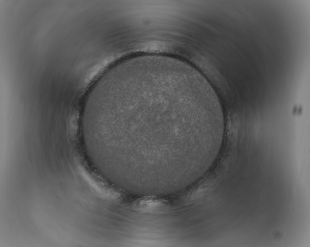X0000111020208200907101348