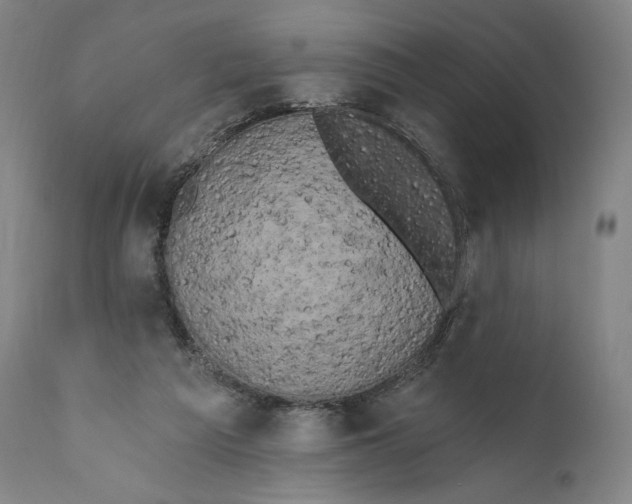 X0000111020209200907101348