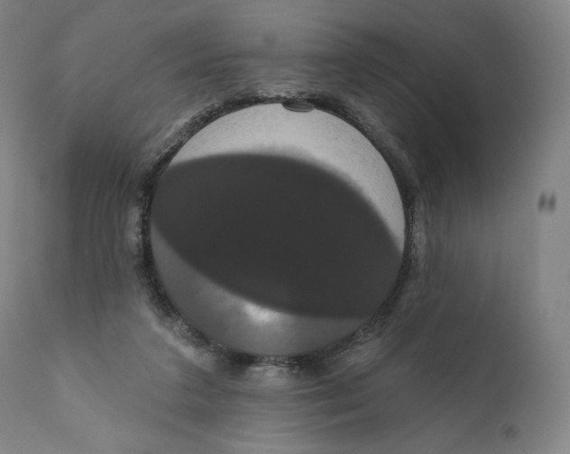 X0000111020211200907101348