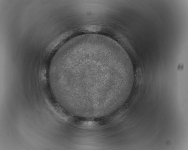 X0000111020212200907101348