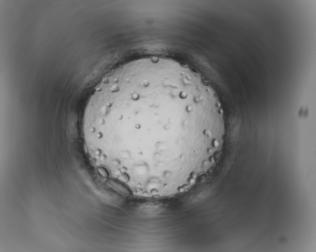 X0000111020213200907101348