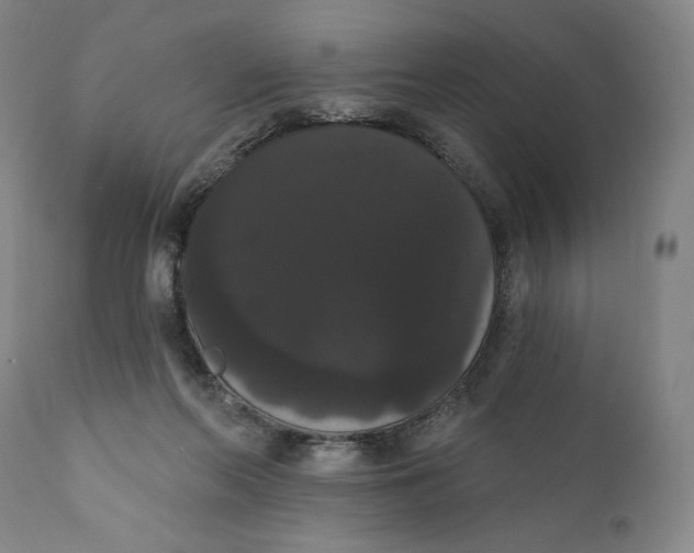 X0000111020214200907101348