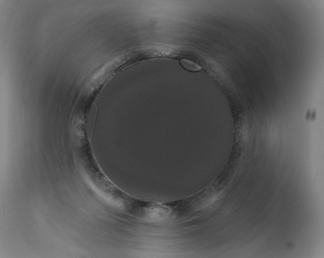 X0000111020215200907101348