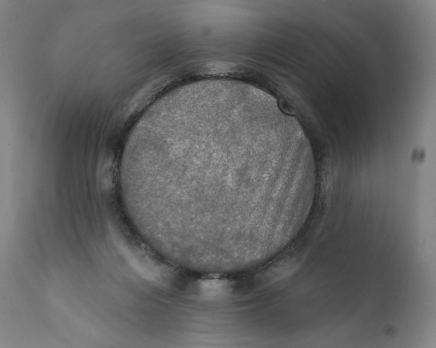 X0000111020216200907101348