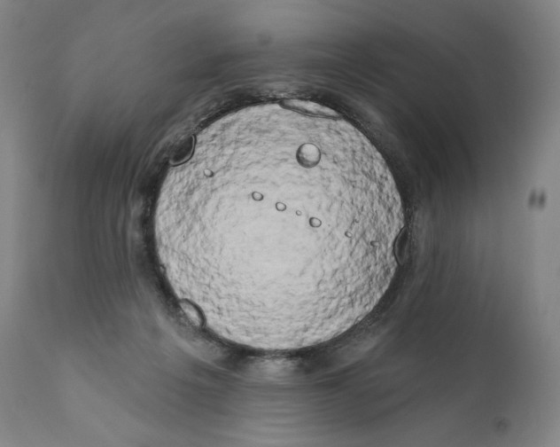 X0000111020217200907101348