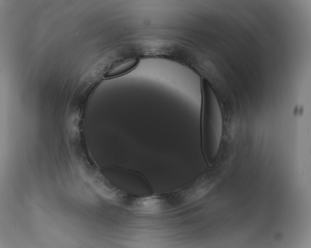 X0000111020219200907101347