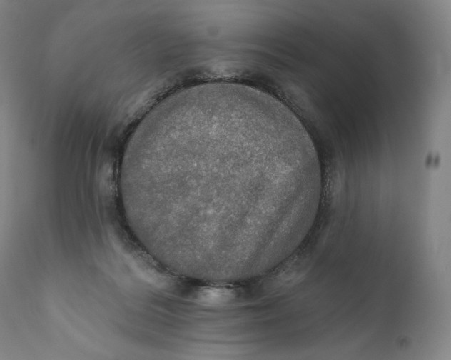 X0000111020220200907101347