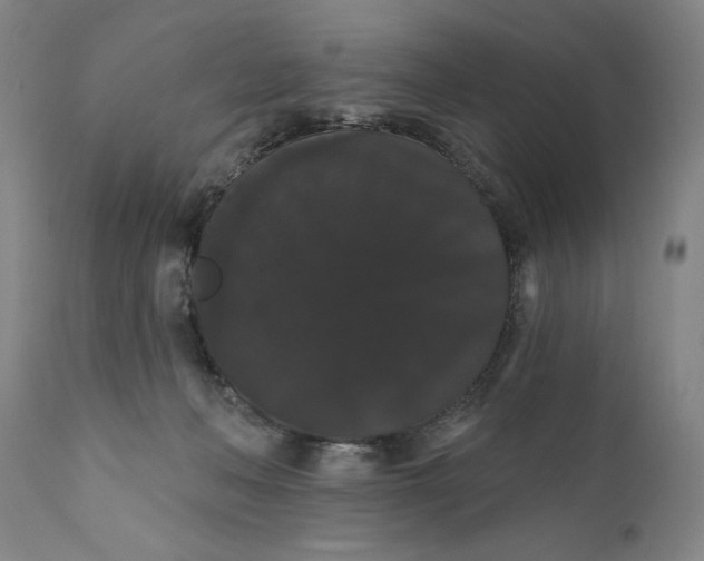 X0000111020222200907101347