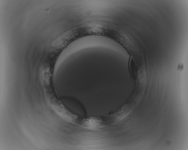 X0000111020223200907101347