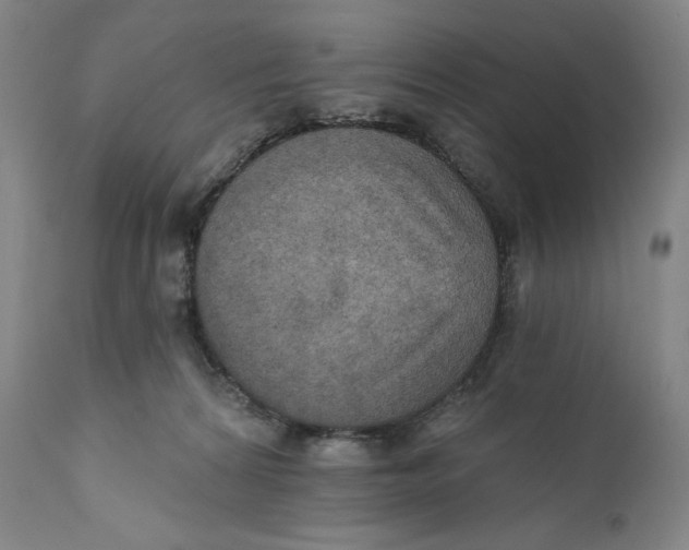 X0000111020224200907101347