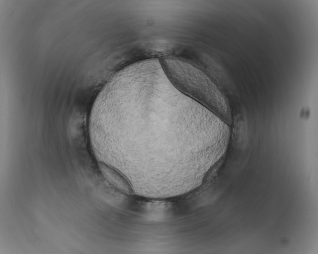 X0000111020225200907101347