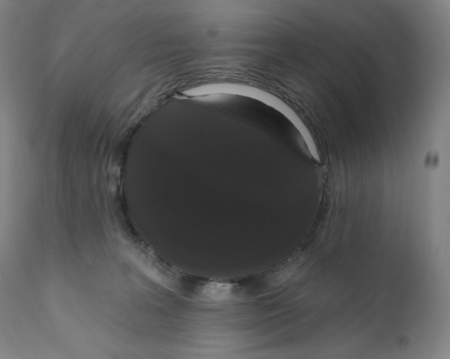 X0000111020227200907101347