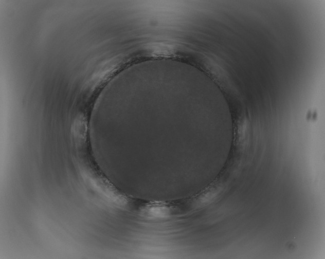X0000111020228200907101347
