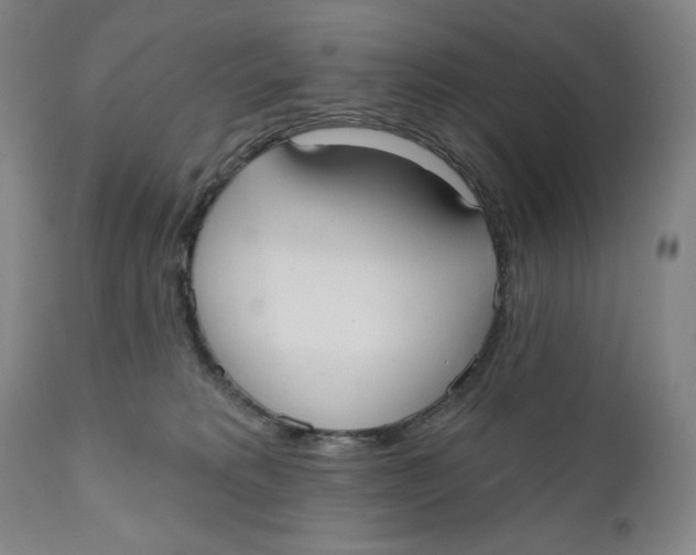 X0000111020229200907101347