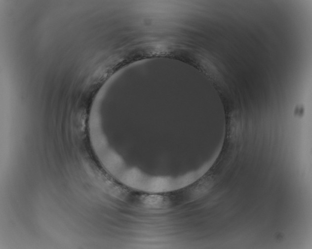 X0000111020230200907101347