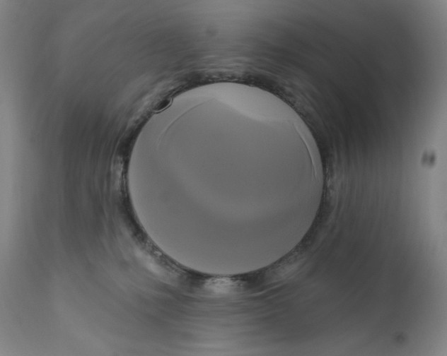 X0000111020231200907101347