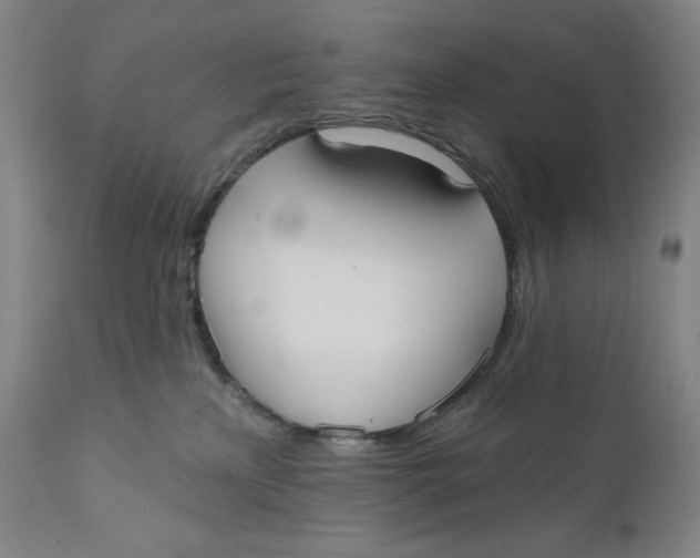 X0000111020233200907101347