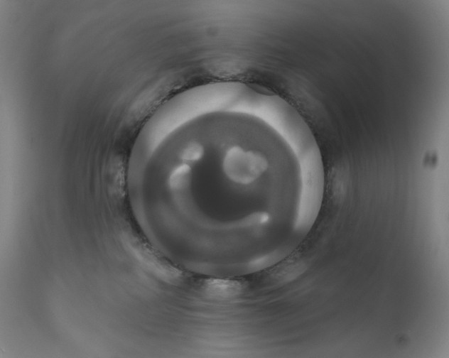 X0000111020234200907101347