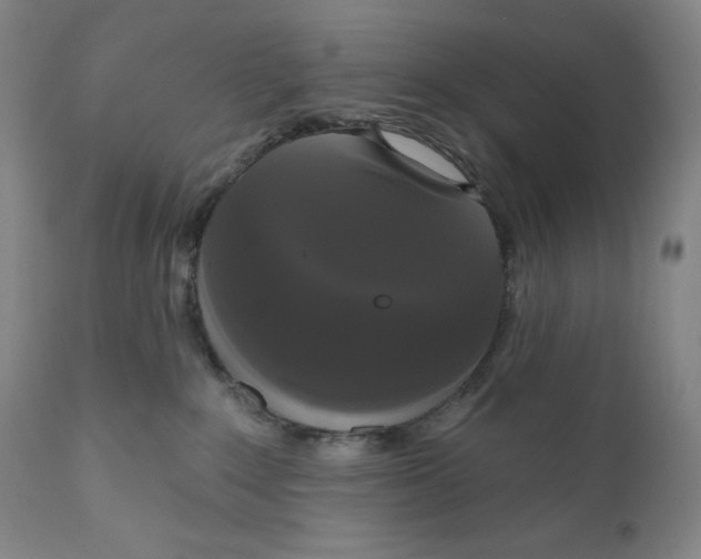X0000111020235200907101347