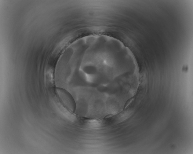 X0000111020238200907101347
