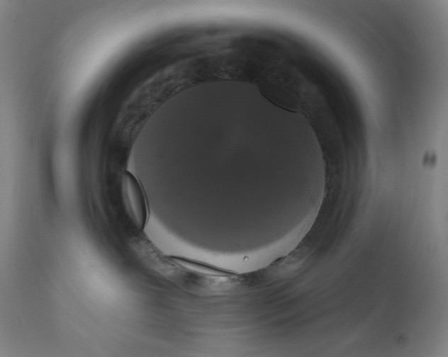 X0000111020239200907101347