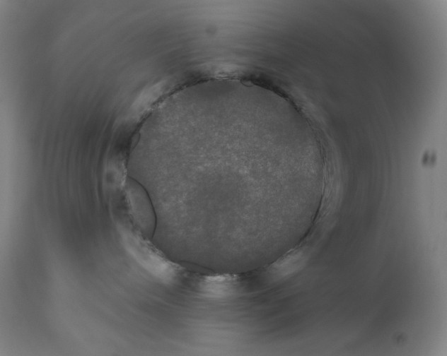 X0000111020240200907101347