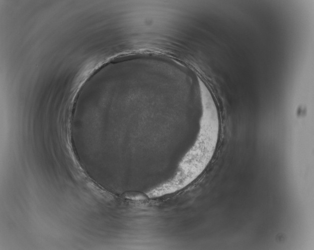 X0000111020241200907101346