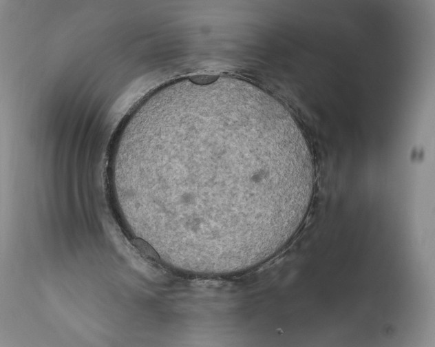 X0000111020242200907101346
