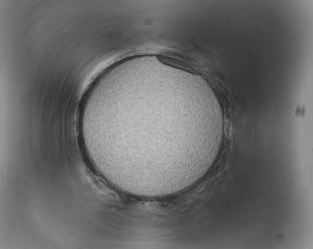 X0000111020244200907101346