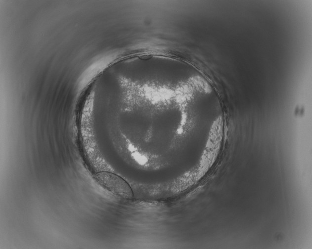 X0000111020245200907101346