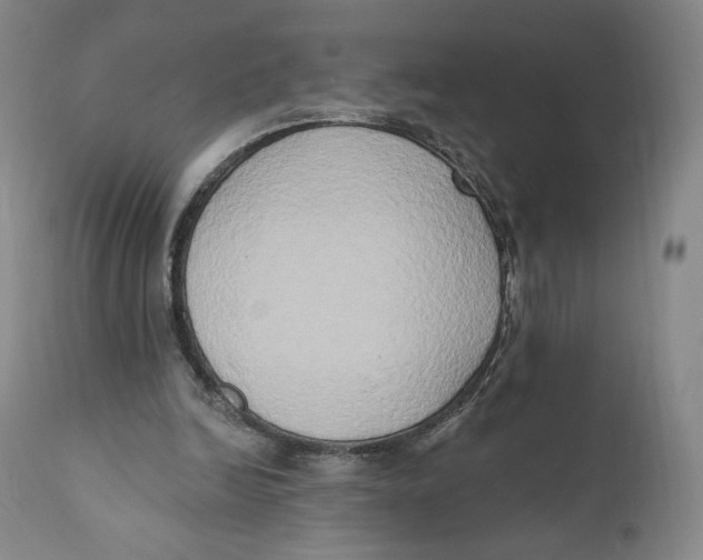 X0000111020246200907101346