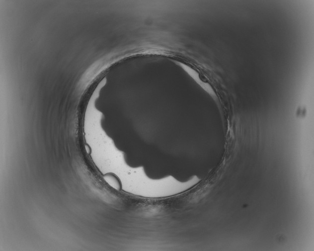 X0000111020247200907101346