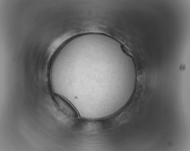 X0000111020248200907101346