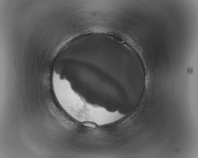 X0000111020249200907101346