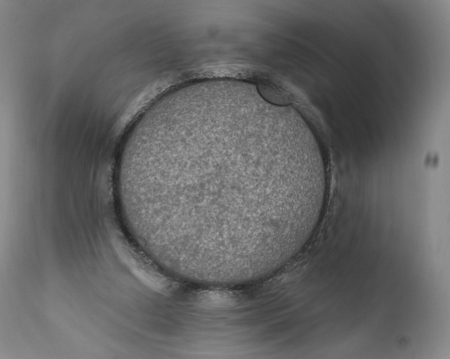 X0000111020250200907101346