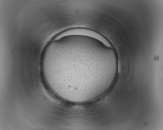 X0000111020252200907101346