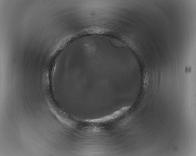 X0000111020254200907101346