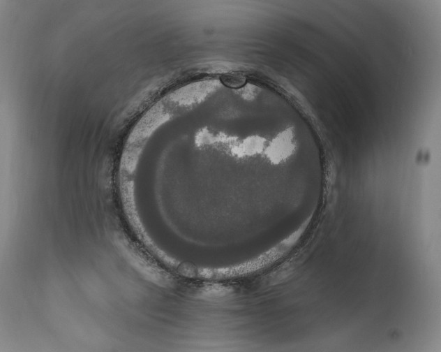X0000111020257200907101346