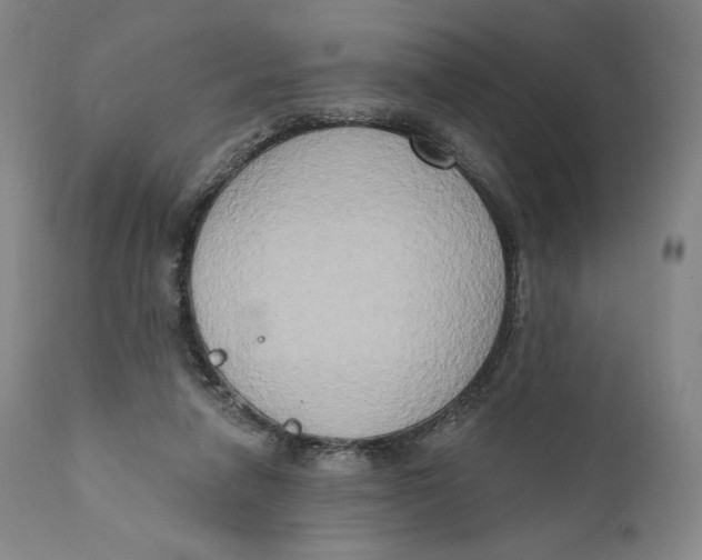 X0000111020258200907101346