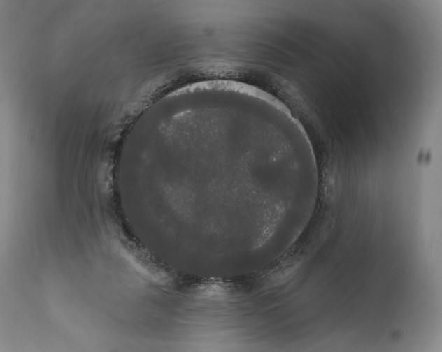 X0000111020259200907101347