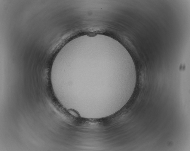 X0000111020260200907101347