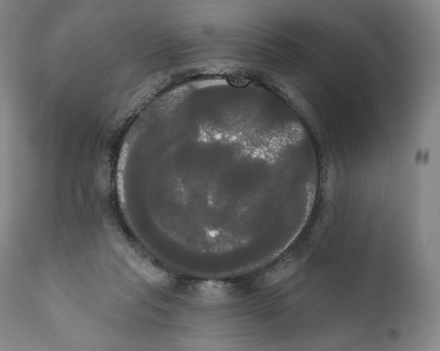 X0000111020261200907101347