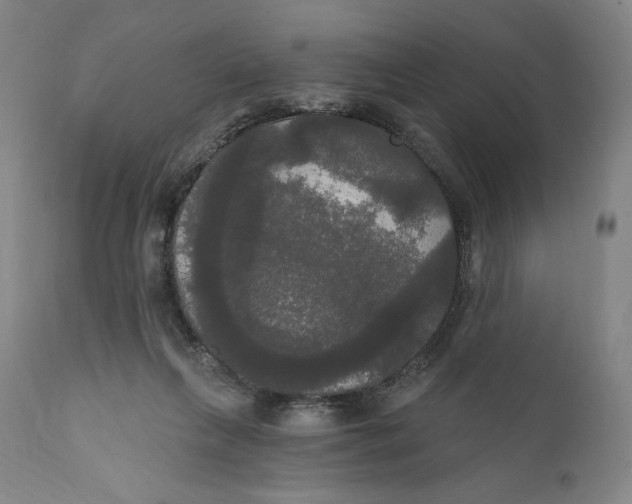 X0000111020263200907101347