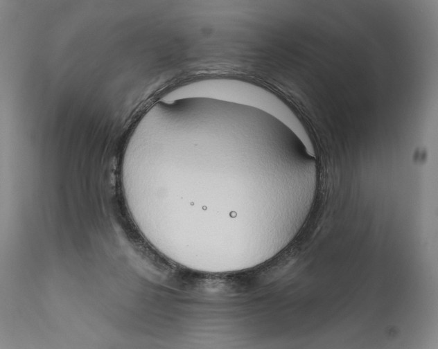 X0000111020264200907101347