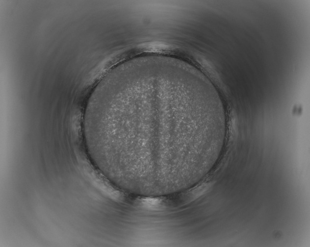 X0000111020265200907101347