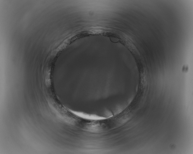 X0000111020267200907101347
