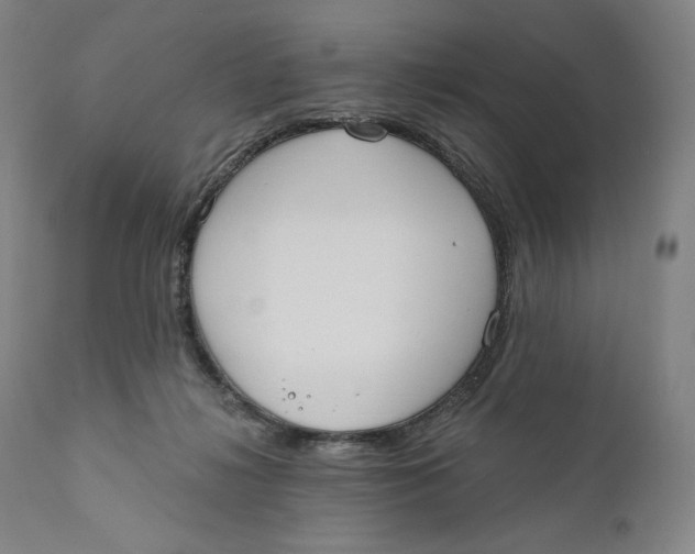 X0000111020268200907101347